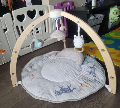 Aden + Anais Rising Star Activity Gym
