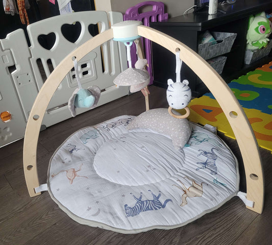 Aden + Anais Rising Star Activity Gym