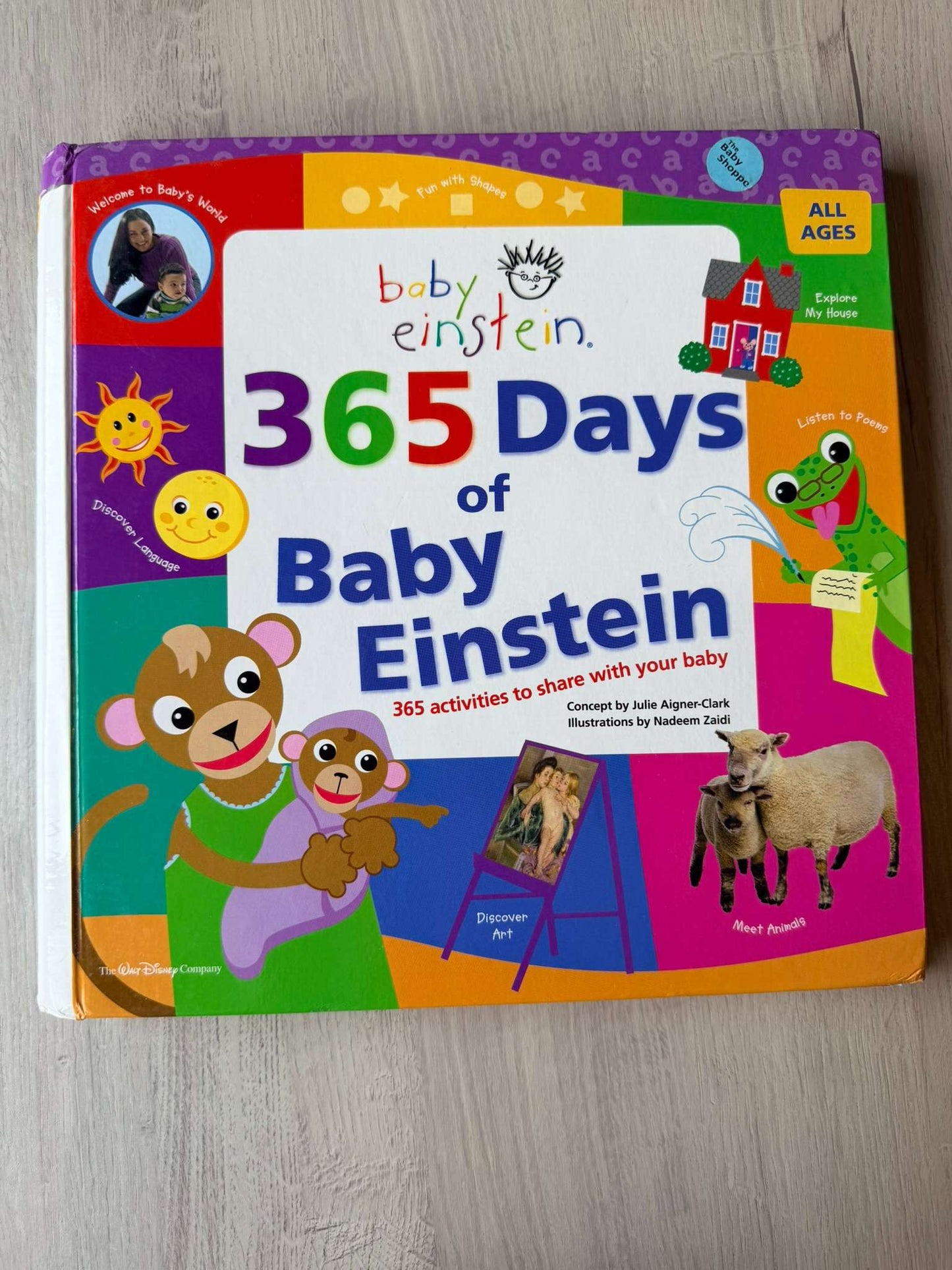 Baby Einstein book