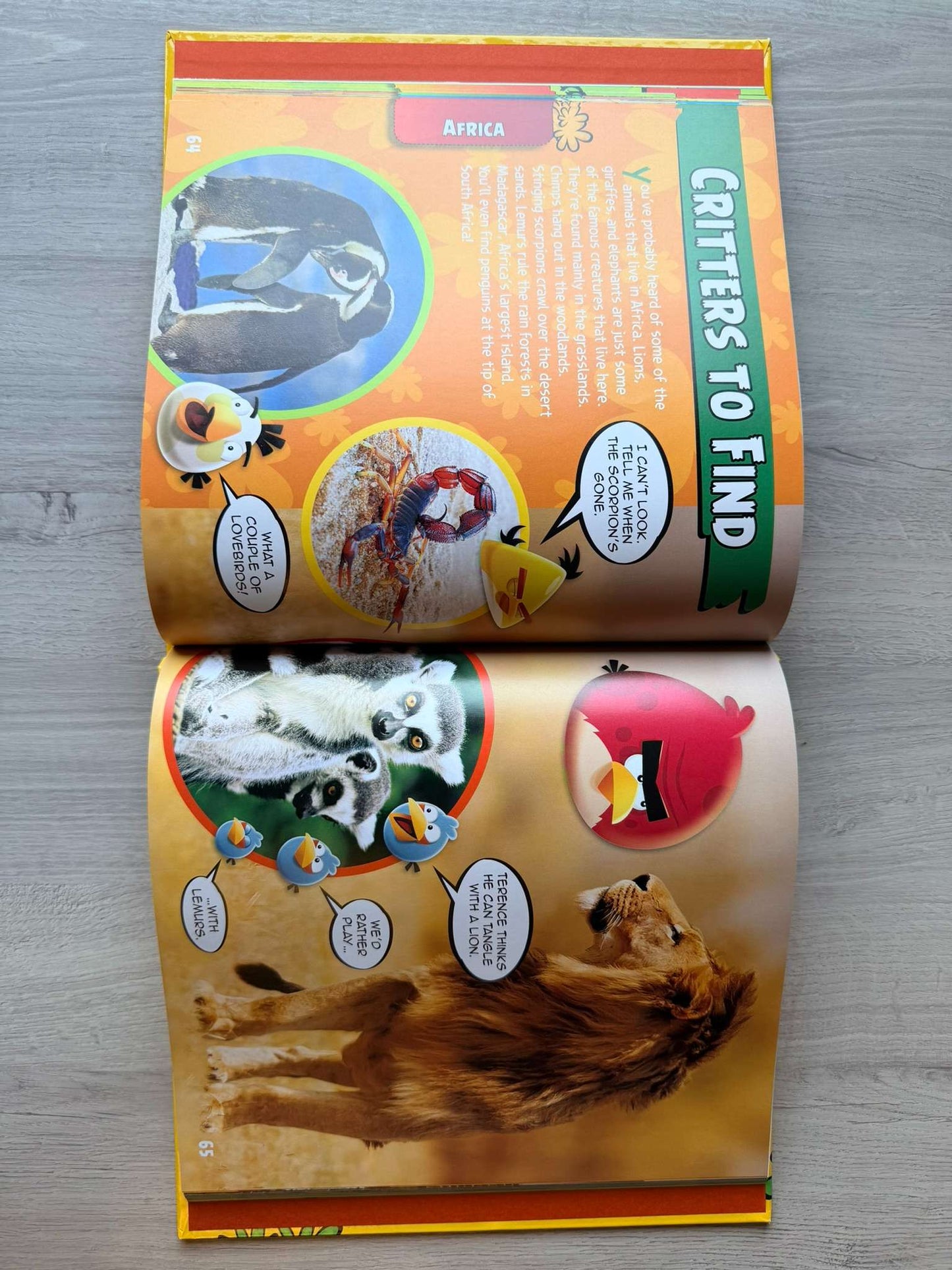 Angry Bird bundle