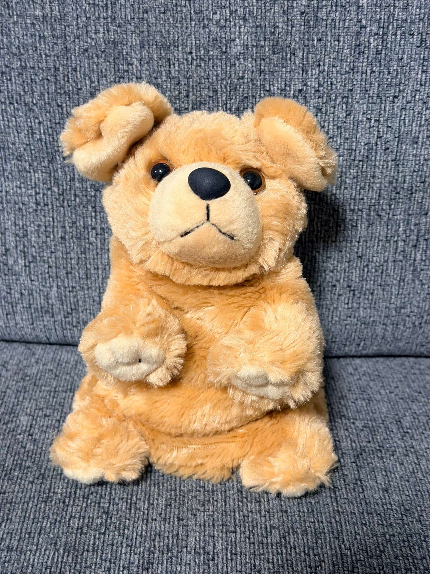 Stuffies (puppy, cat, kangaroo)