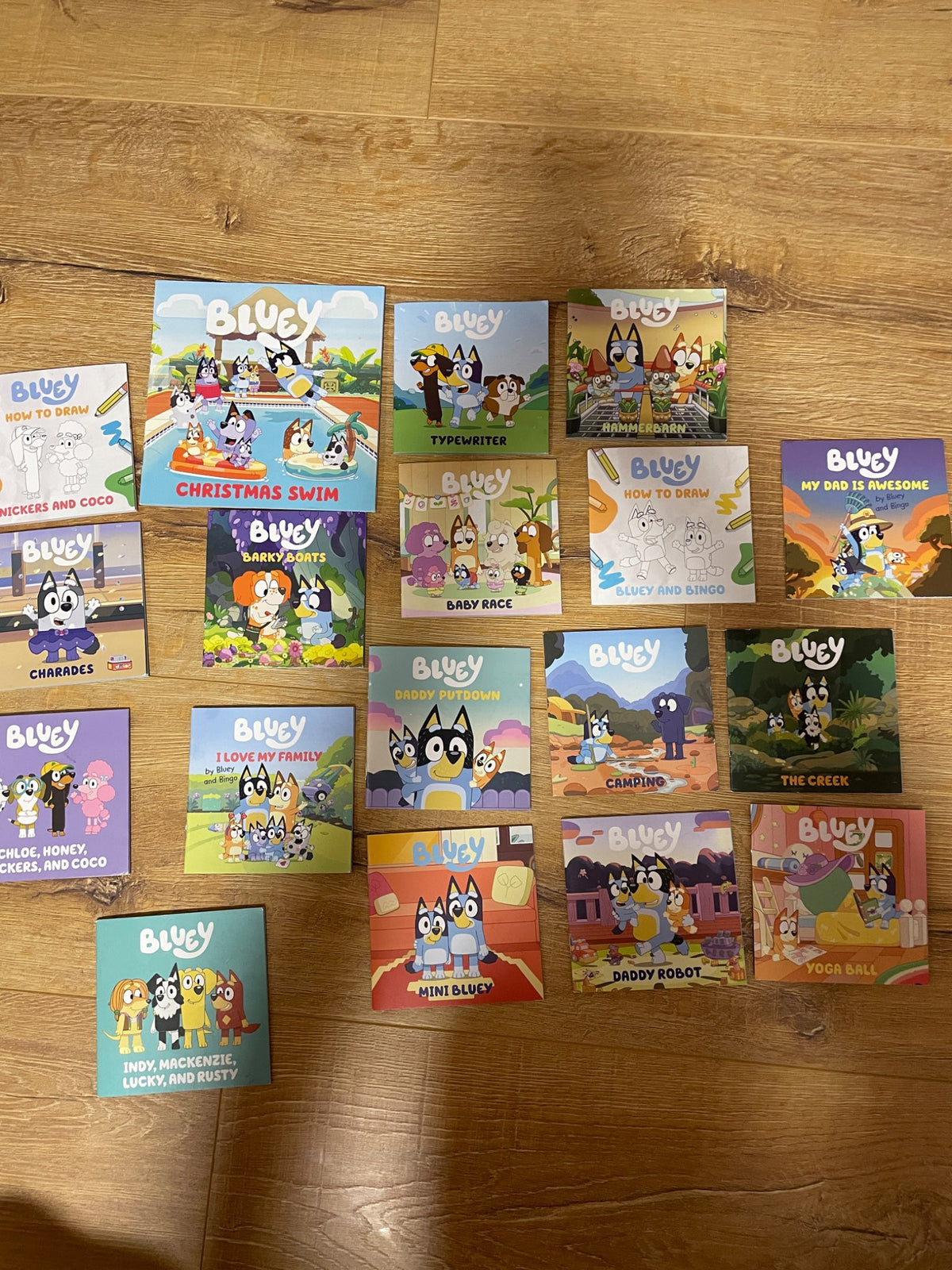 Bluey book lot