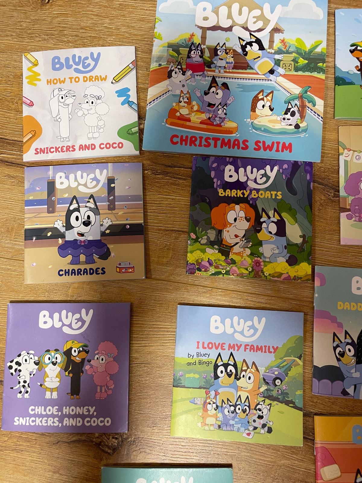 Bluey book lot