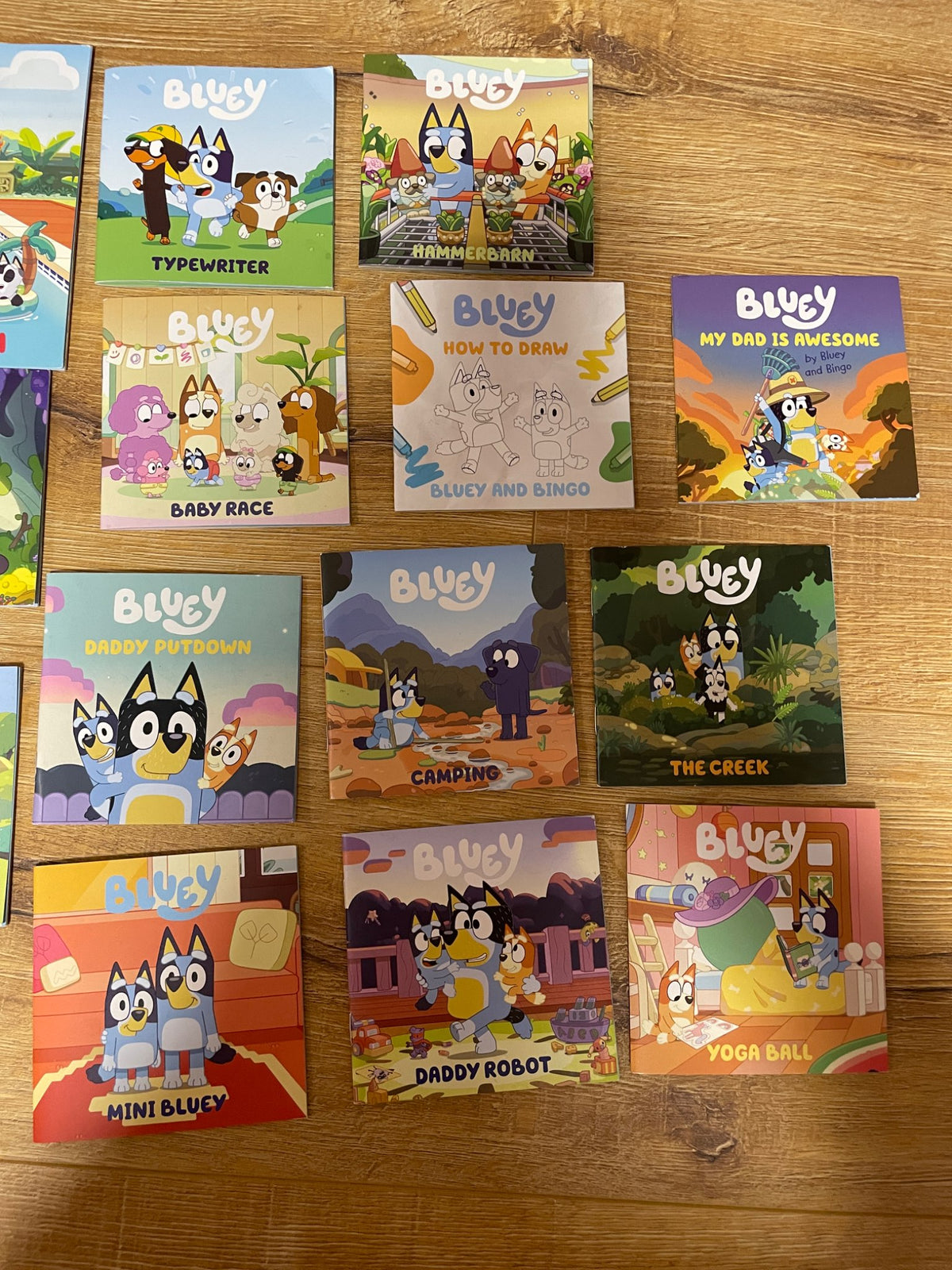 Bluey book lot