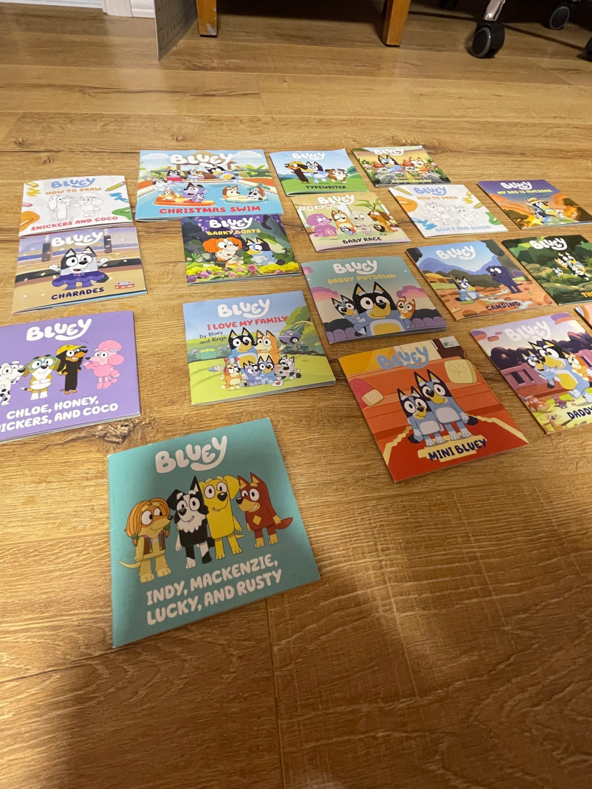 Bluey book lot