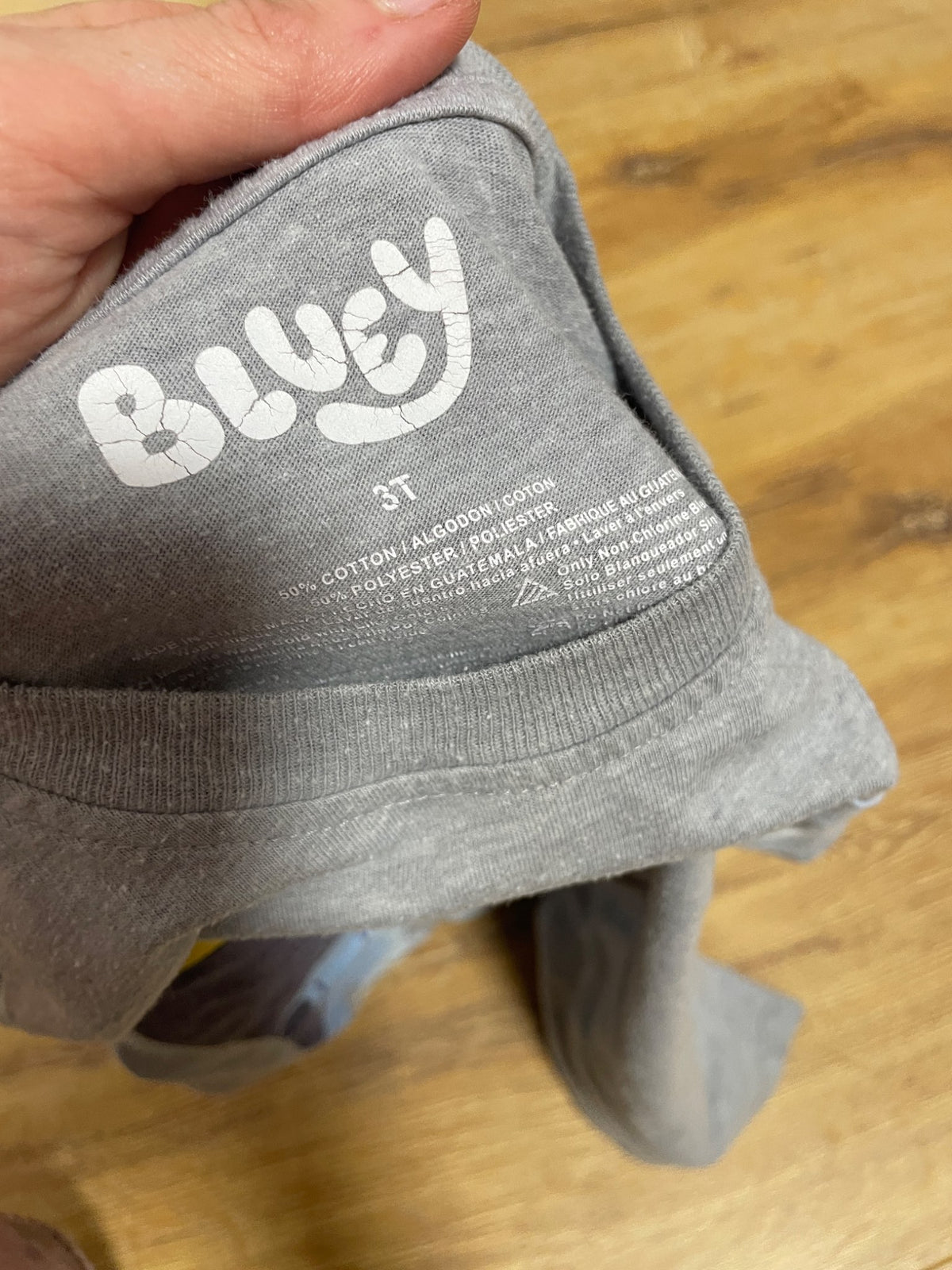 Bluey T-Shirt