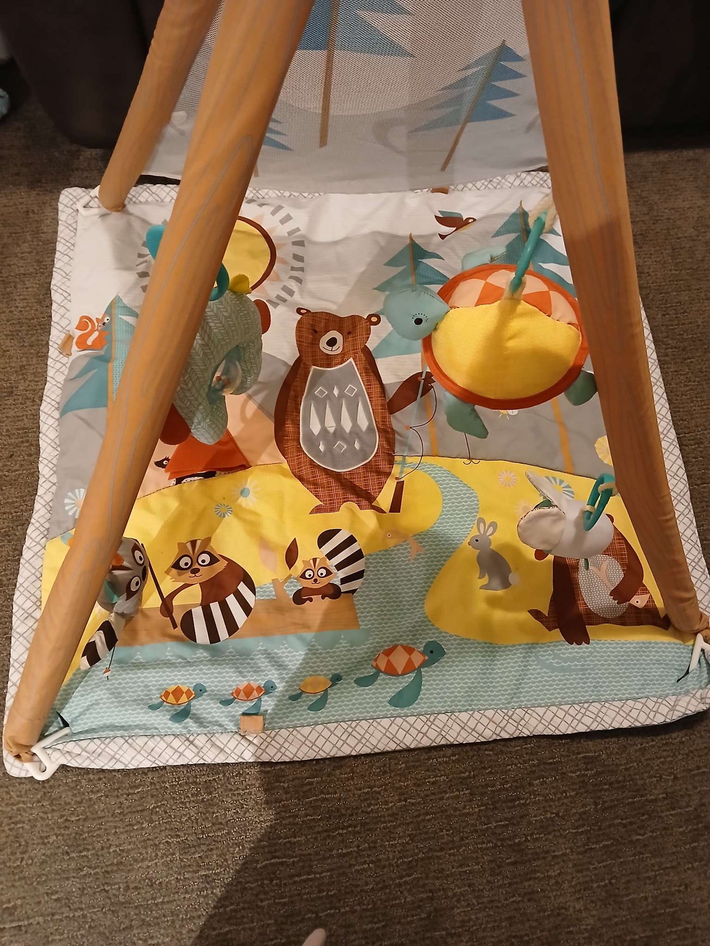 Skip Hop  play mat