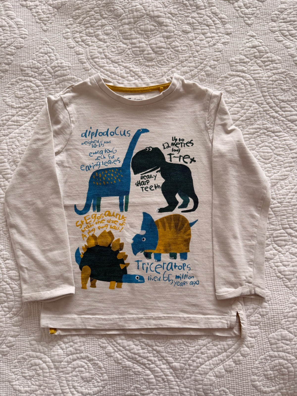 Dinosaur T -Shirt (size 4), Kids 4/4T