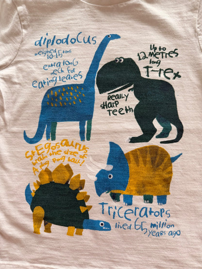 Dinosaur T -Shirt (size 4), Kids 4/4T