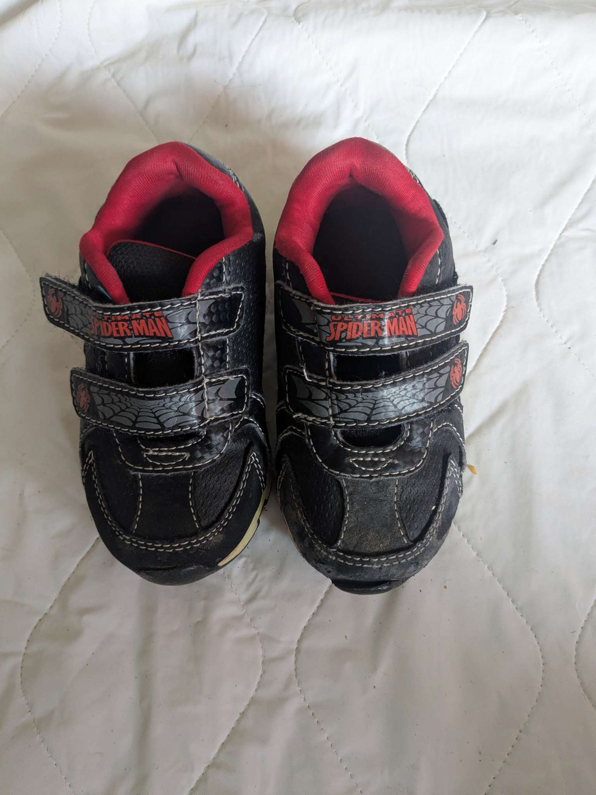 Pair of spiderman runners, size 6.5, Shoes 6.5 (Walkers:12-24 mth)