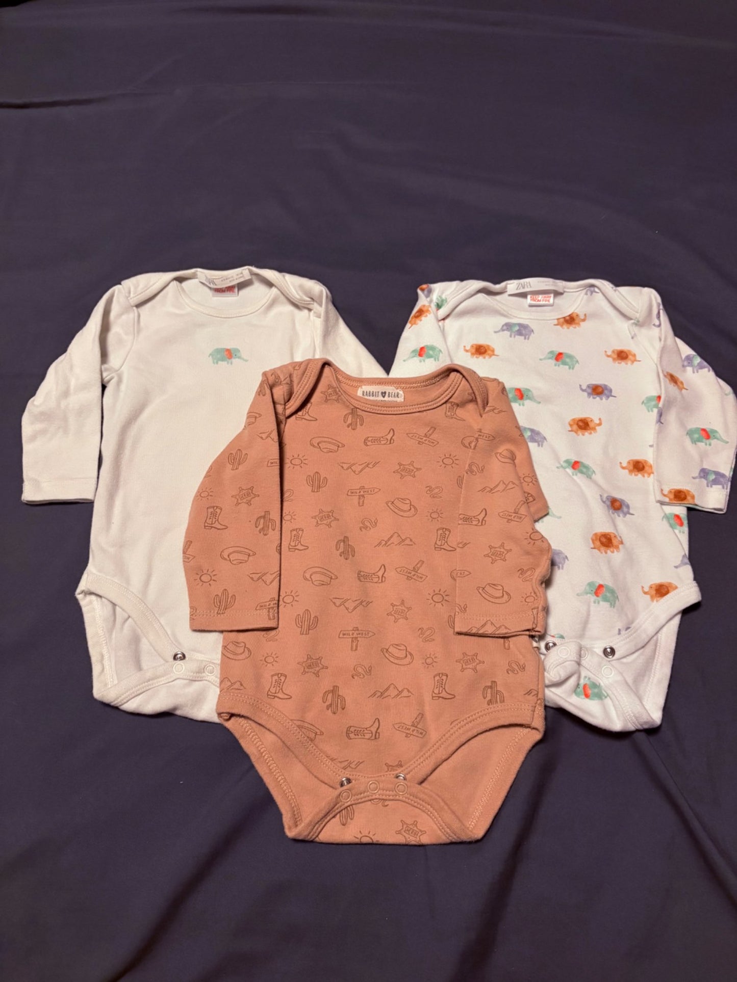 Long sleeve onesies (size 6-9 months) , Kids 9 Month (6-9M)