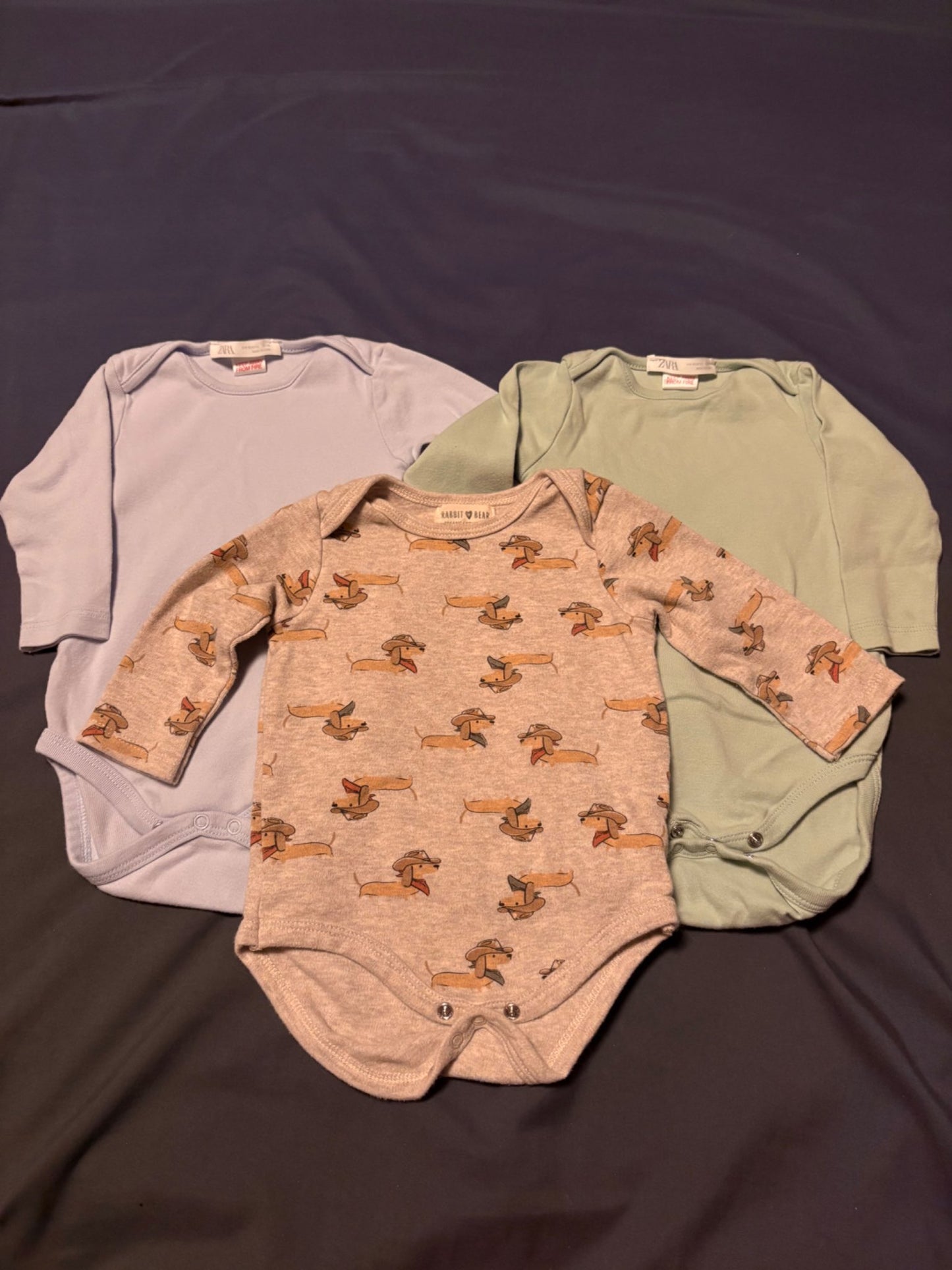 Long sleeve onesies (size 6-9 months) , Kids 9 Month (6-9M)