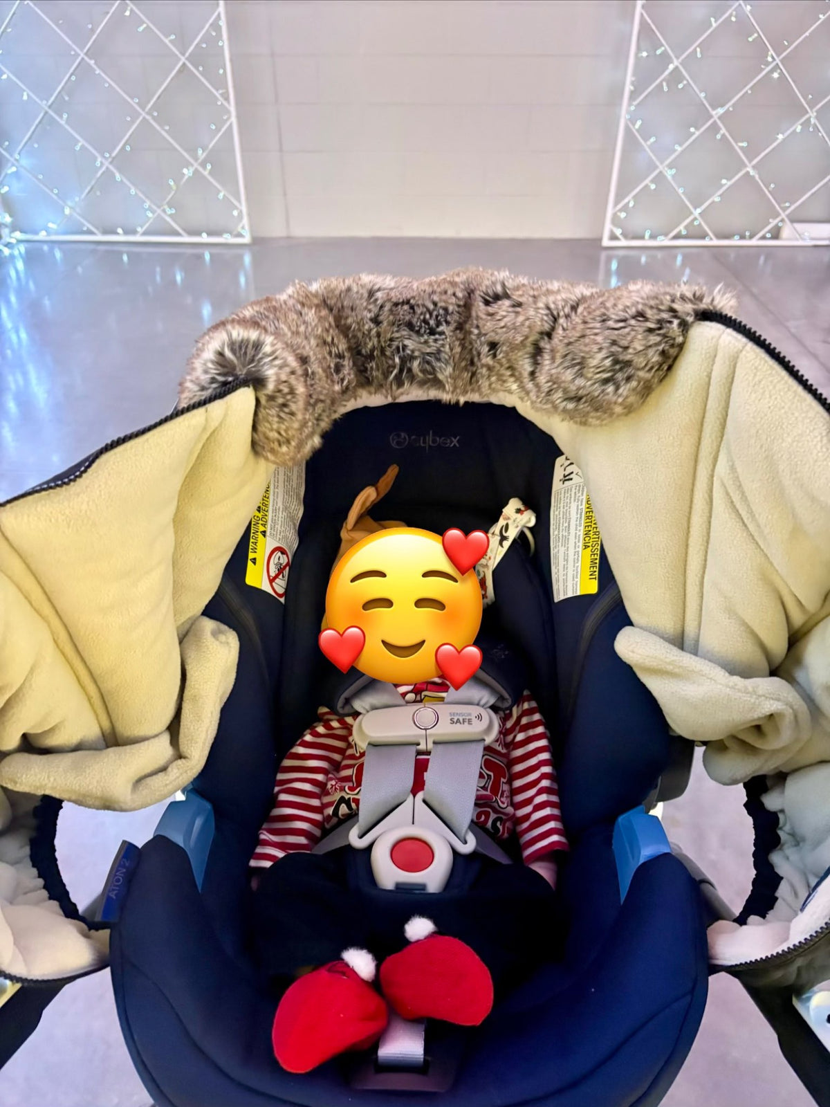 Winter Baby Car Seat Cover