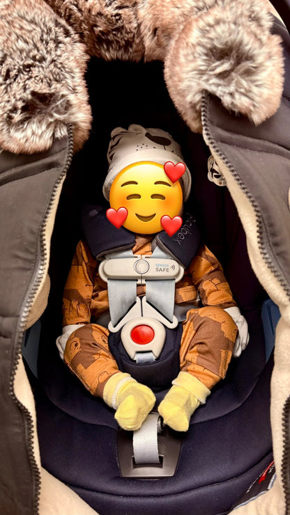 Winter Baby Car Seat Cover