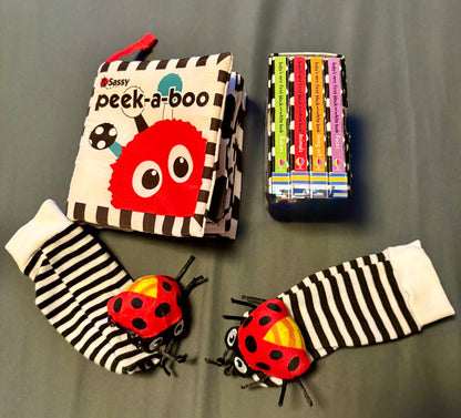 Black and white books, toys and lovey