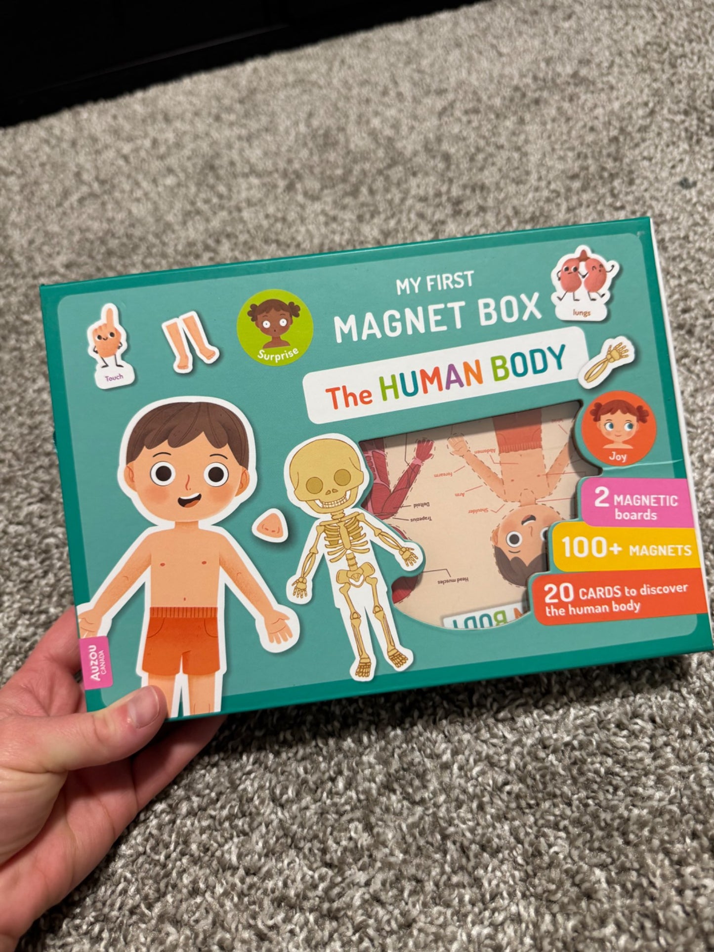 Magnet toy
