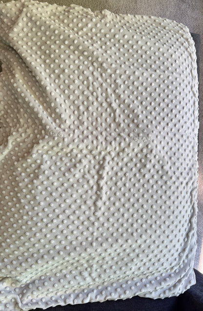 Car Seat Canopy/Cover