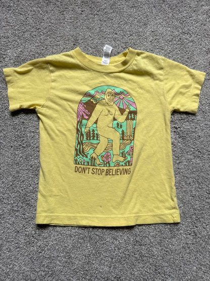 Tshirts 2T