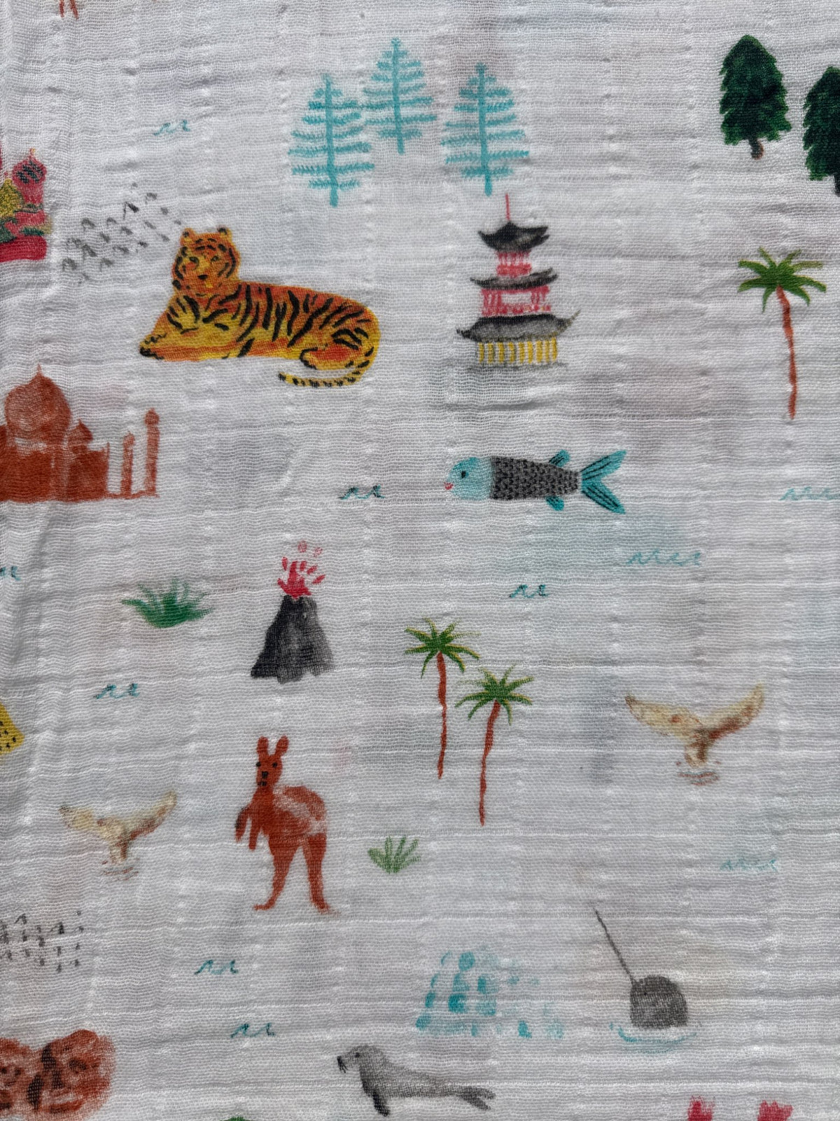 Aden + Anais animal swaddle, 6-12 Months (Medium)