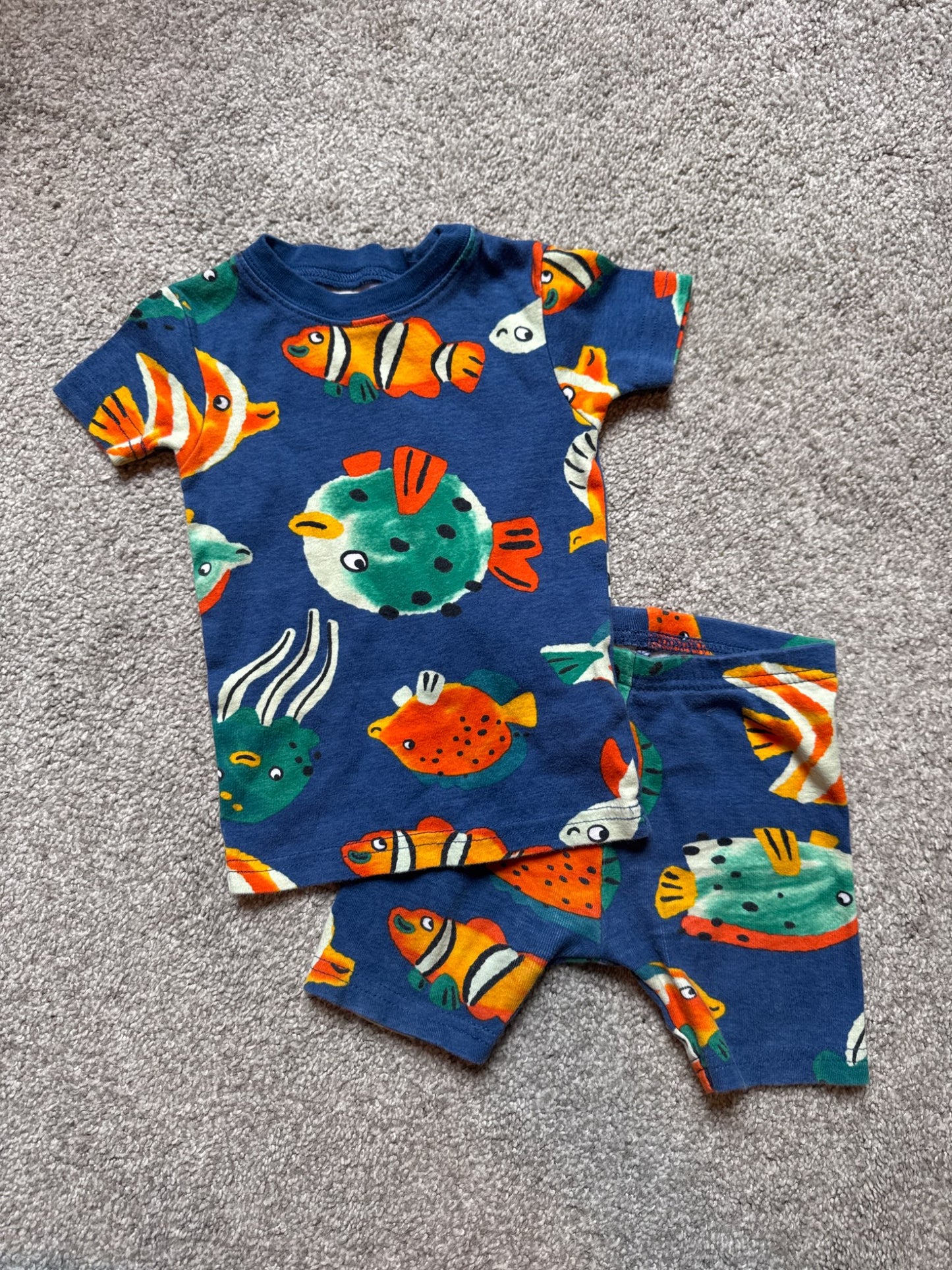 Fish fit 18m (fits small)