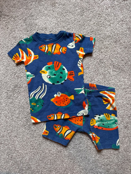 Fish fit 18m (fits small)