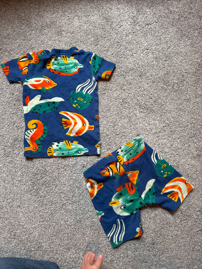 Fish fit 18m (fits small)