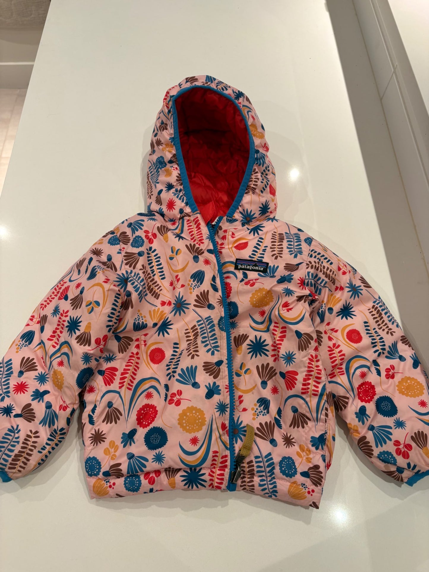 Reversible Patagonia Puff Coat , Kids 3T