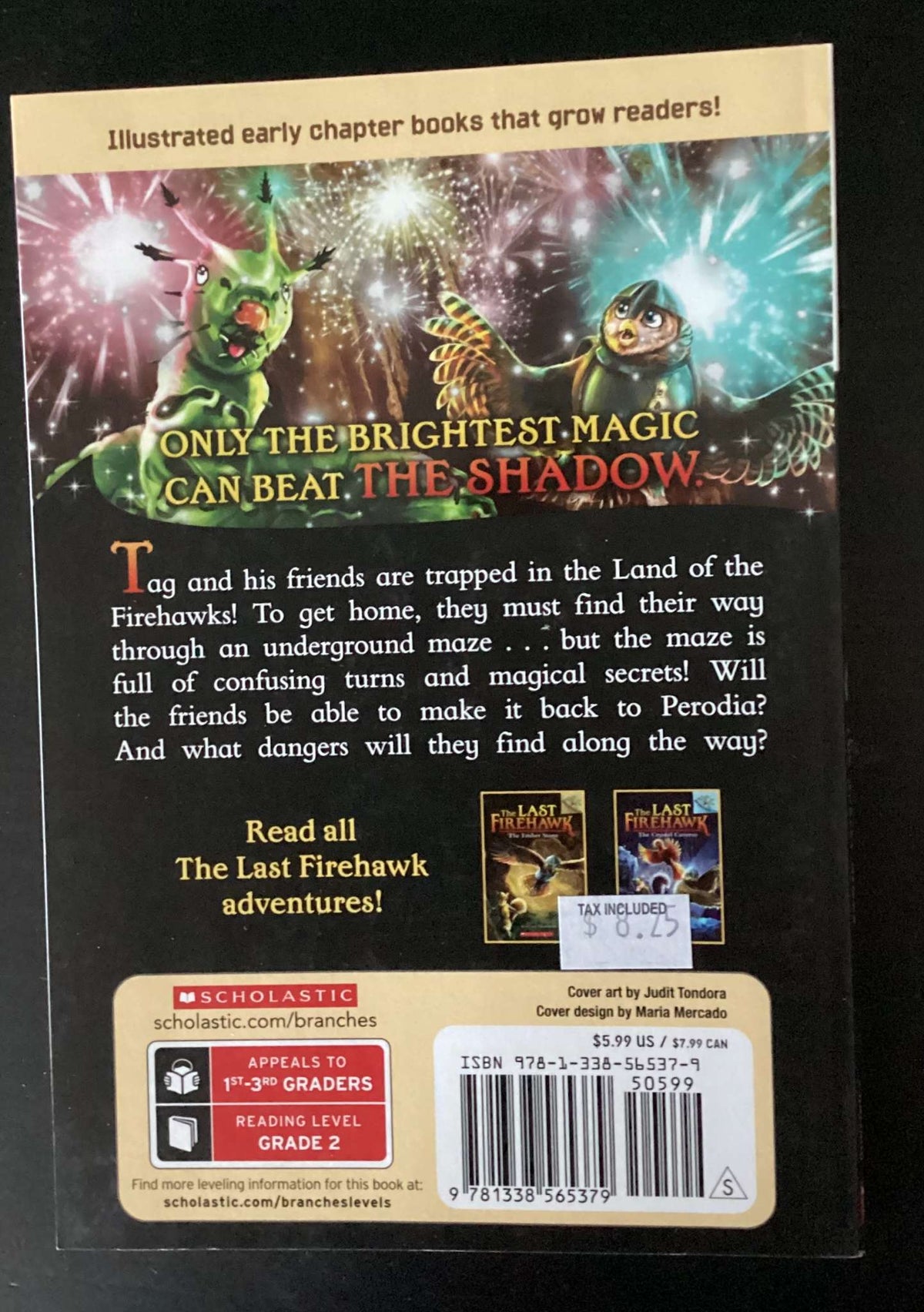 The Last Firehawk: The Secret Maze by Katrina Charman