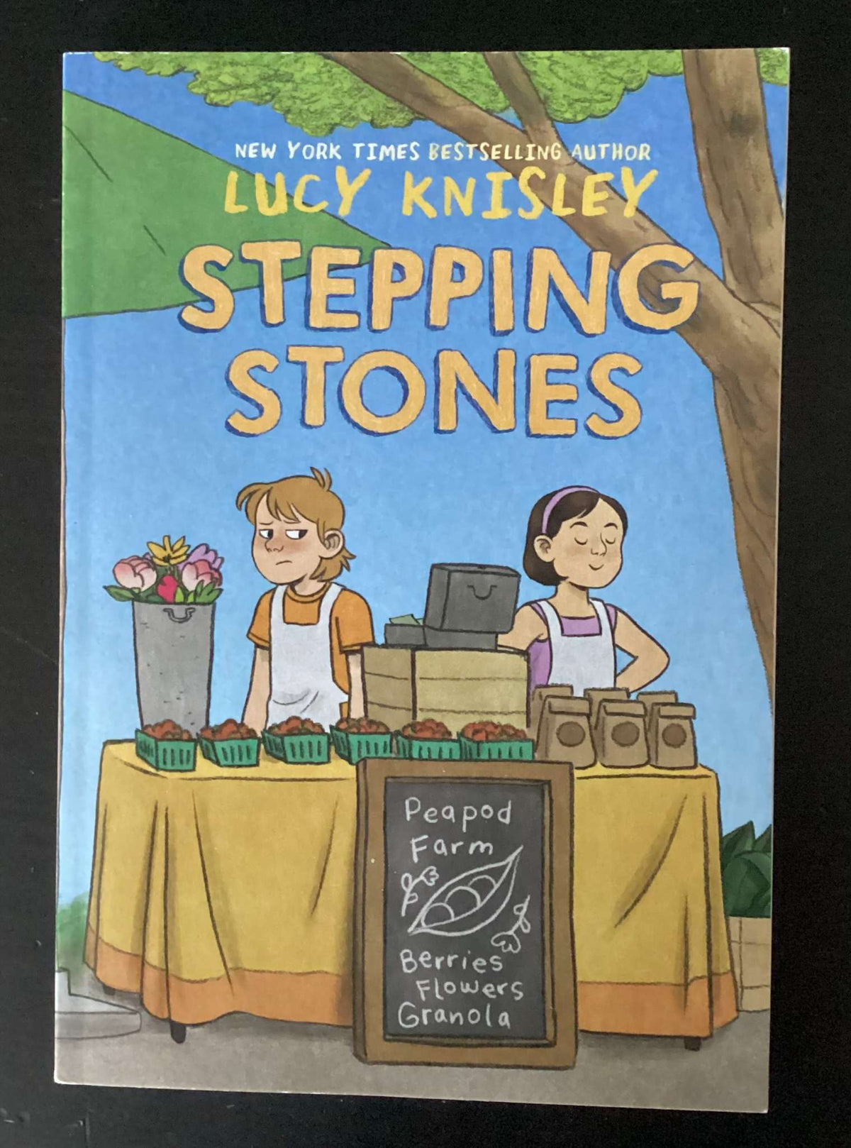 Stepping Stones by Lucy Knisley