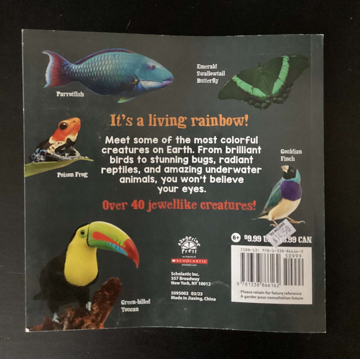 Colorful Creatures