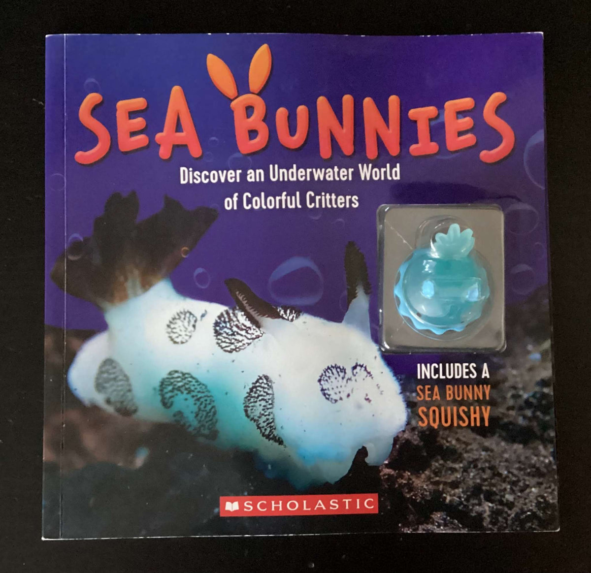 Sea Bunnies Discover an Underwater World of Colorful Critters