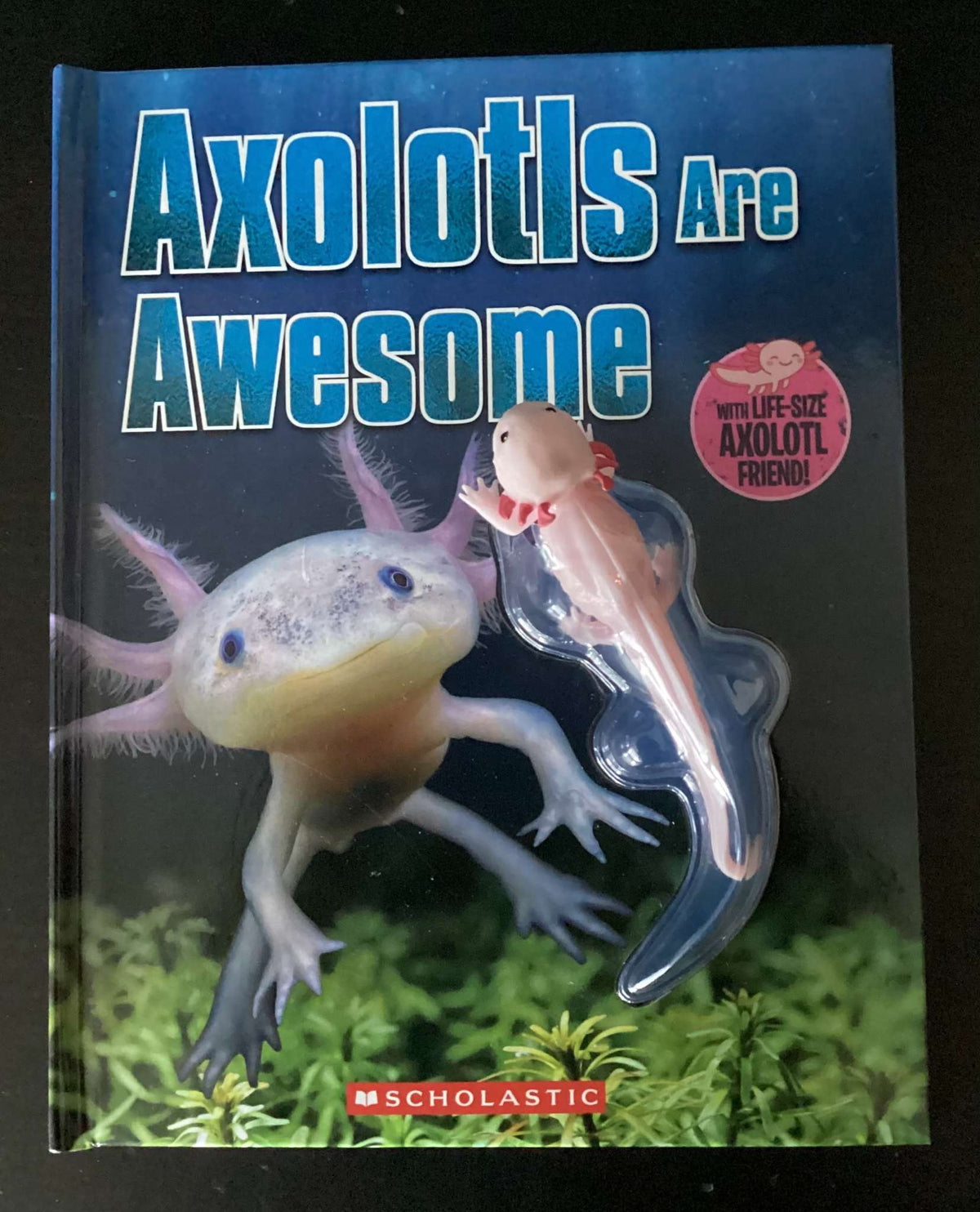 Axolotls Are Awesome