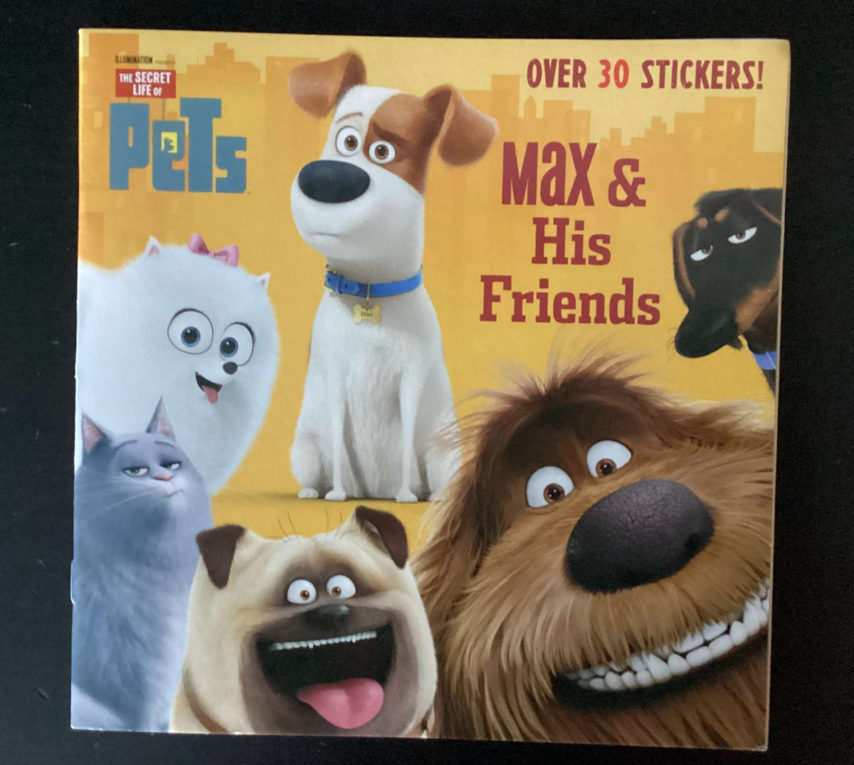 Bundle of 2 Books: Ryan's Mystery Playdate: Who Will it Be? and The Secret Life of Pets