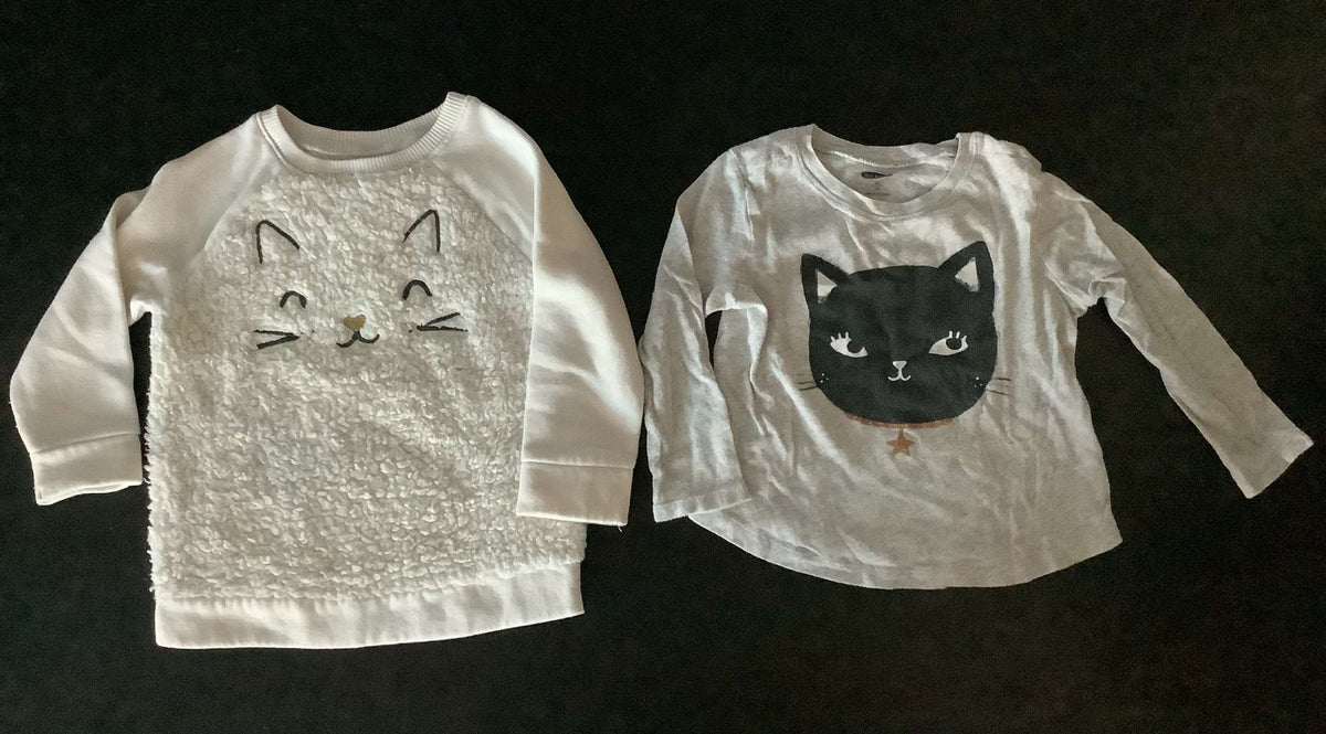 Old Navy Bundle of 2 L/S Tops (2 years), Kids 2T