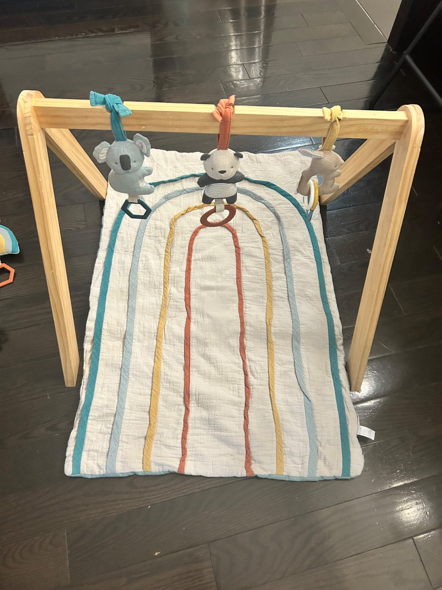 Itzy Ritzy wooden activity gym
