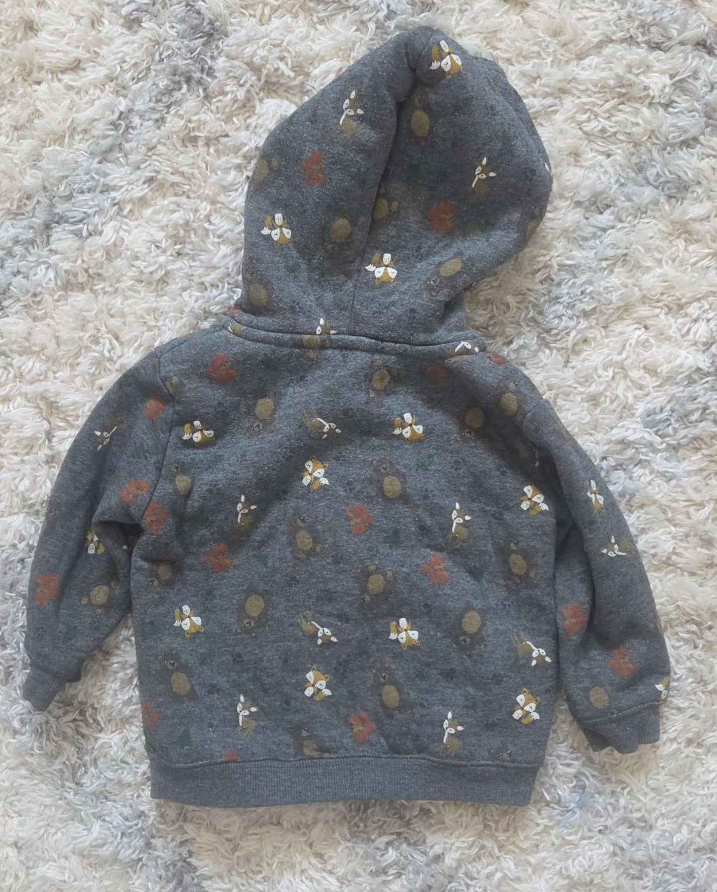 Zip up Hoodie, Kids 18 Month (12-18M)
