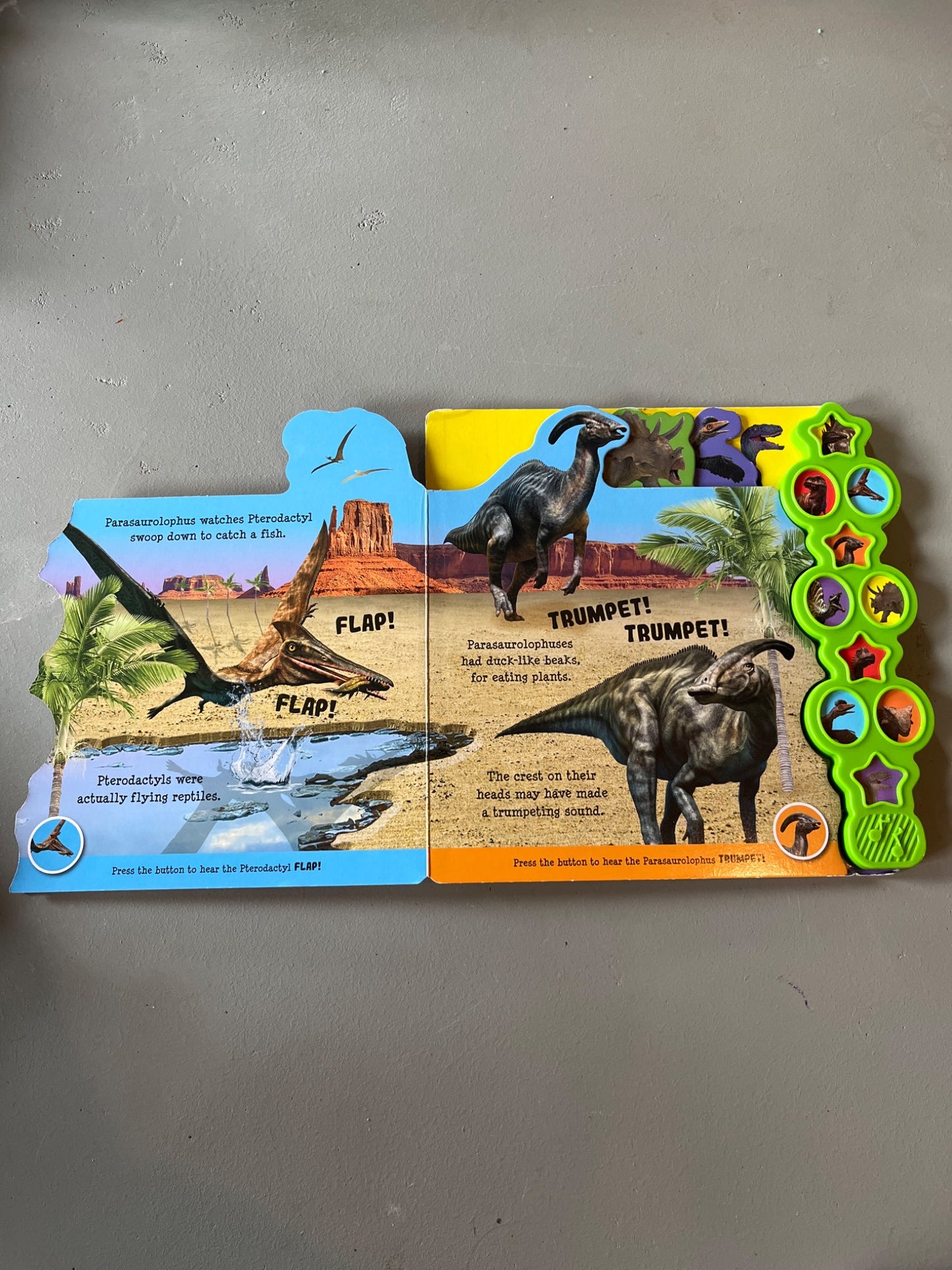 Awesome Dinosaurs Book - with sounds