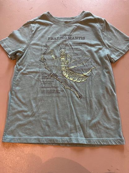 T-Shirt Bundle, Kids 8