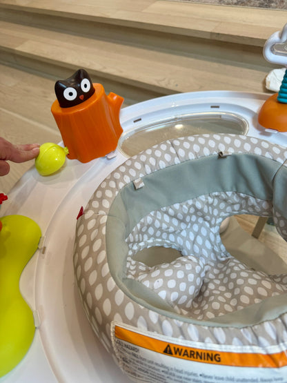 Skip Hop Baby Activity Center