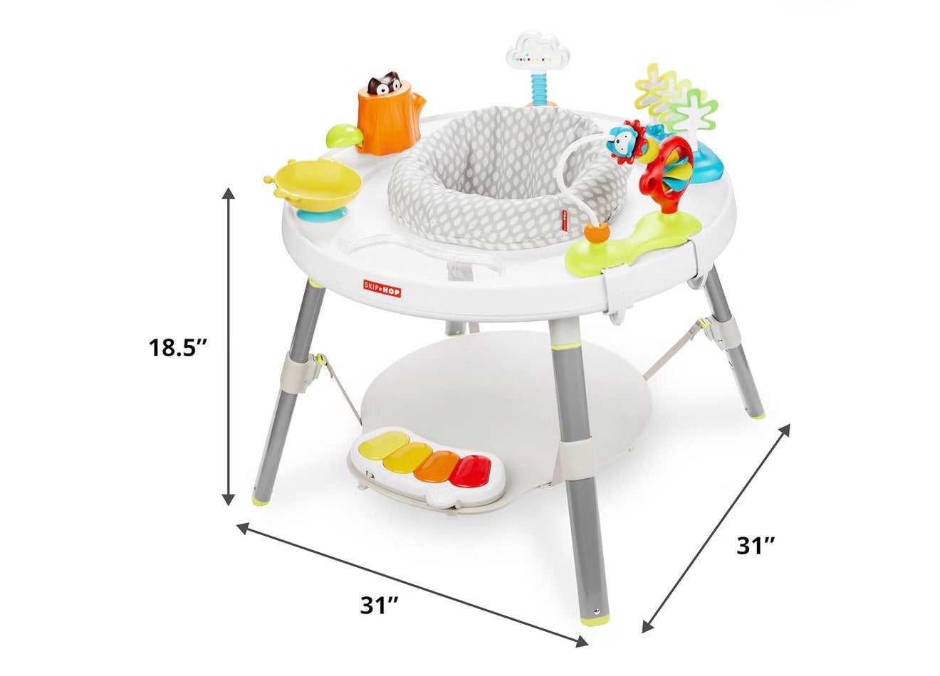Skip Hop Baby Activity Center