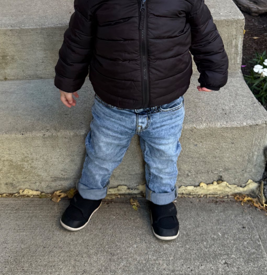 Toddler Boy Jeans, 2T, Kids 2T