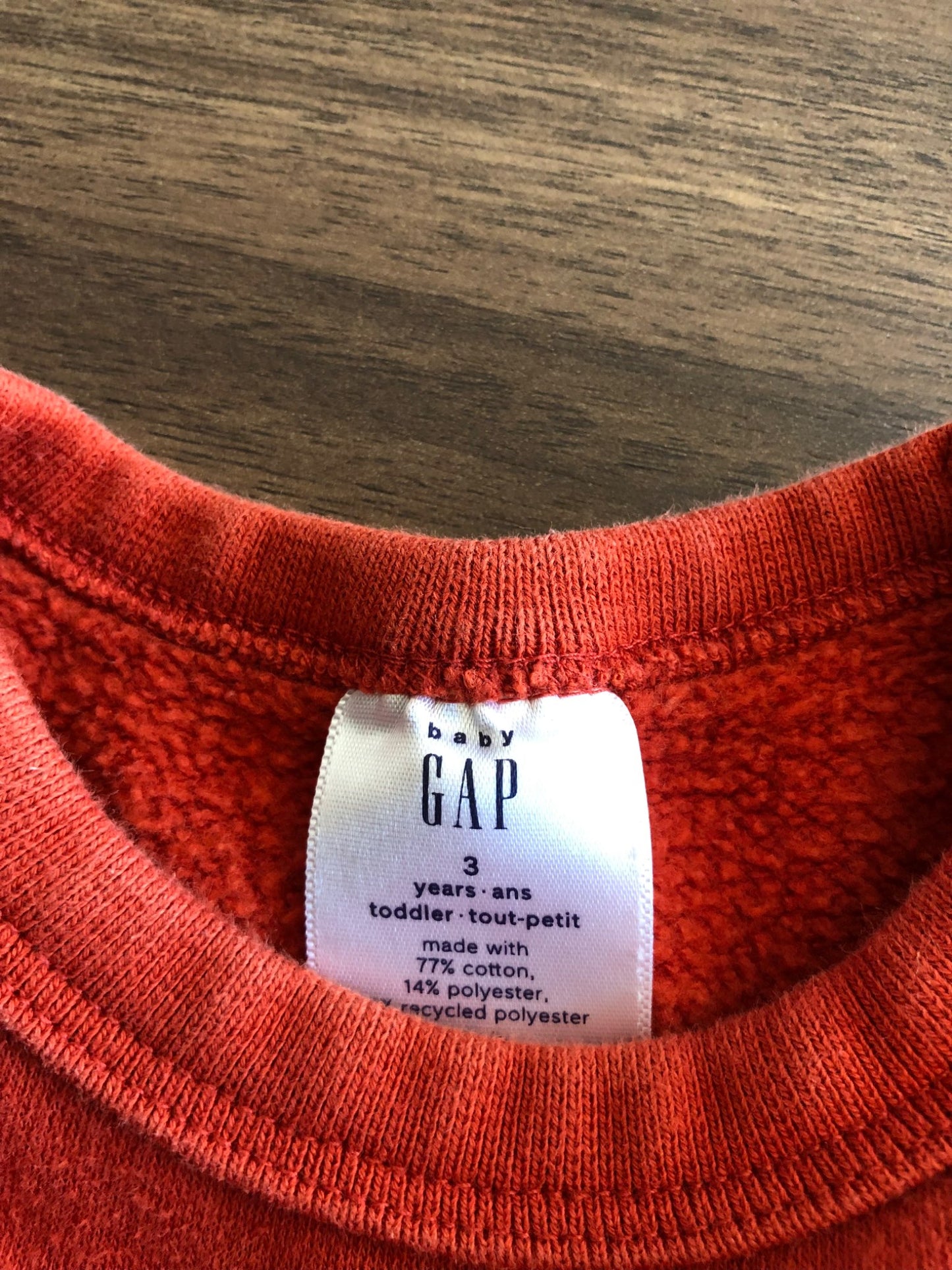 Toddler Burnt Orange Dino Crewneck Hoodie, 3T, Kids 3T