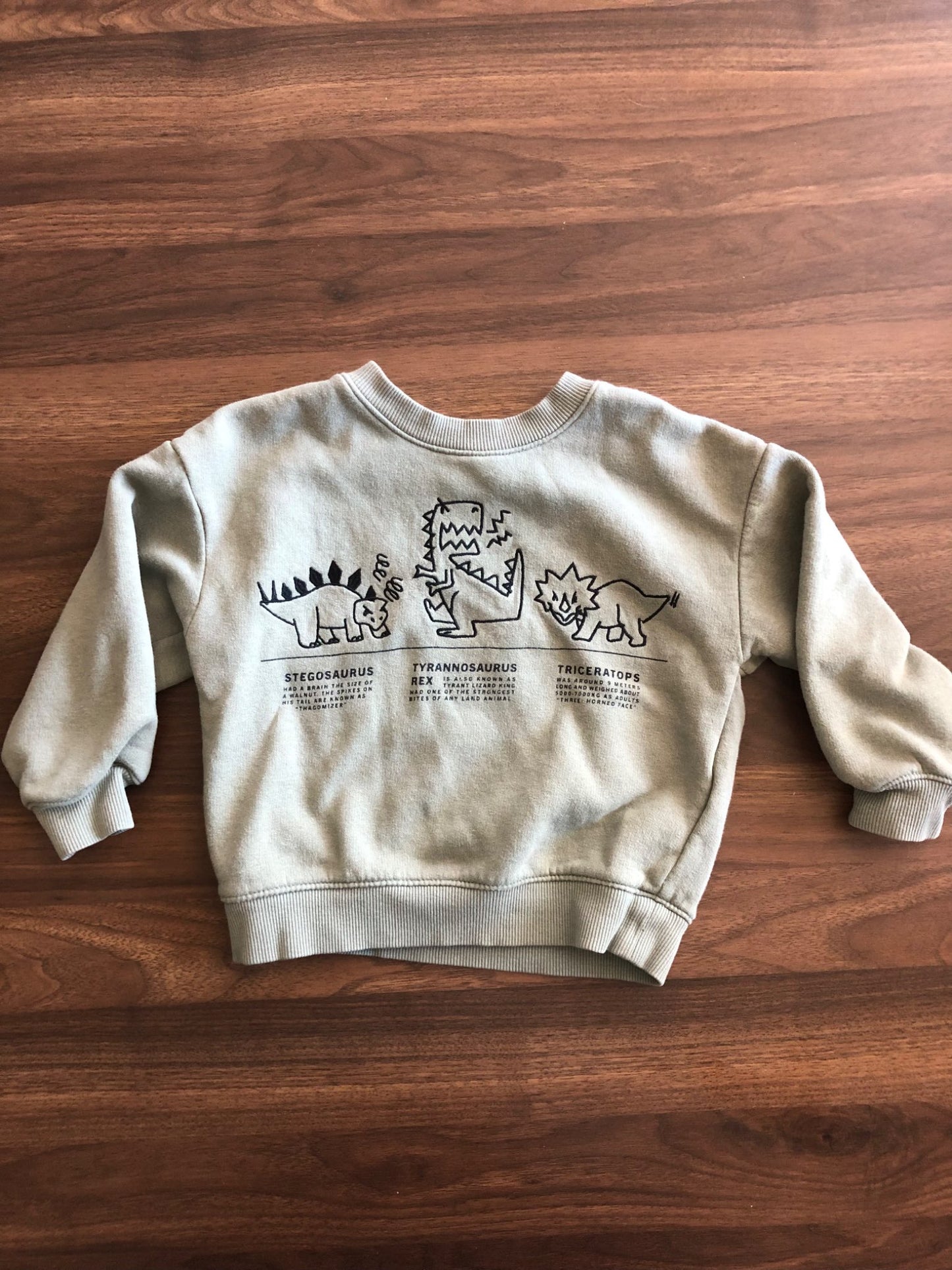 Toddler Green Dino Print Crewneck Hoodie, 3T, Kids 3T