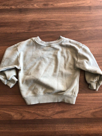 Toddler Green Dino Print Crewneck Hoodie, 3T, Kids 3T