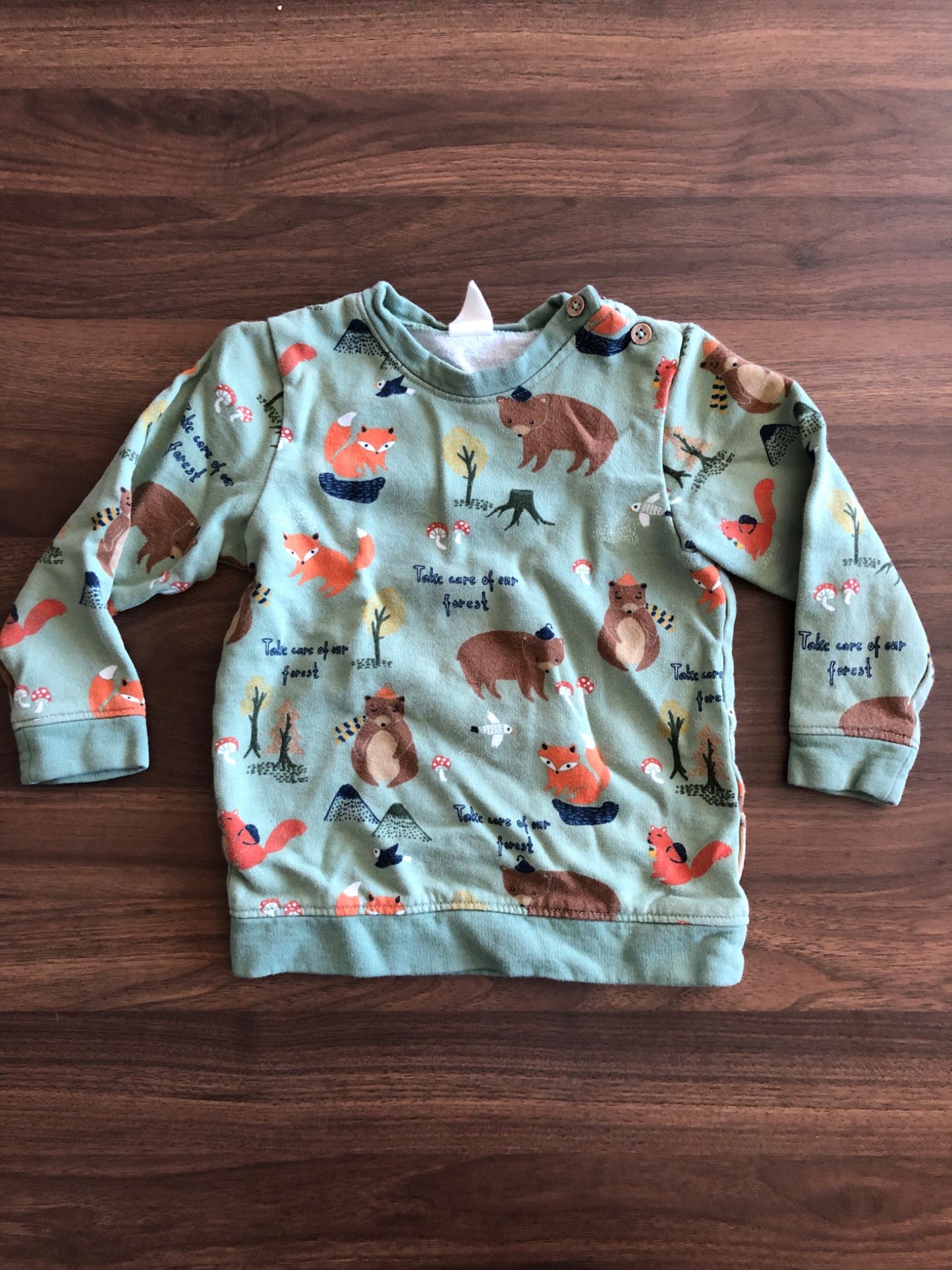 Toddler Woodland Animal Crewneck Hoodie, 3T, Kids 3T