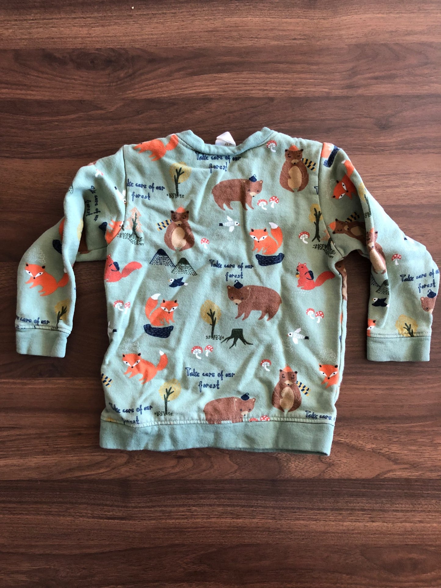 Toddler Woodland Animal Crewneck Hoodie, 3T, Kids 3T