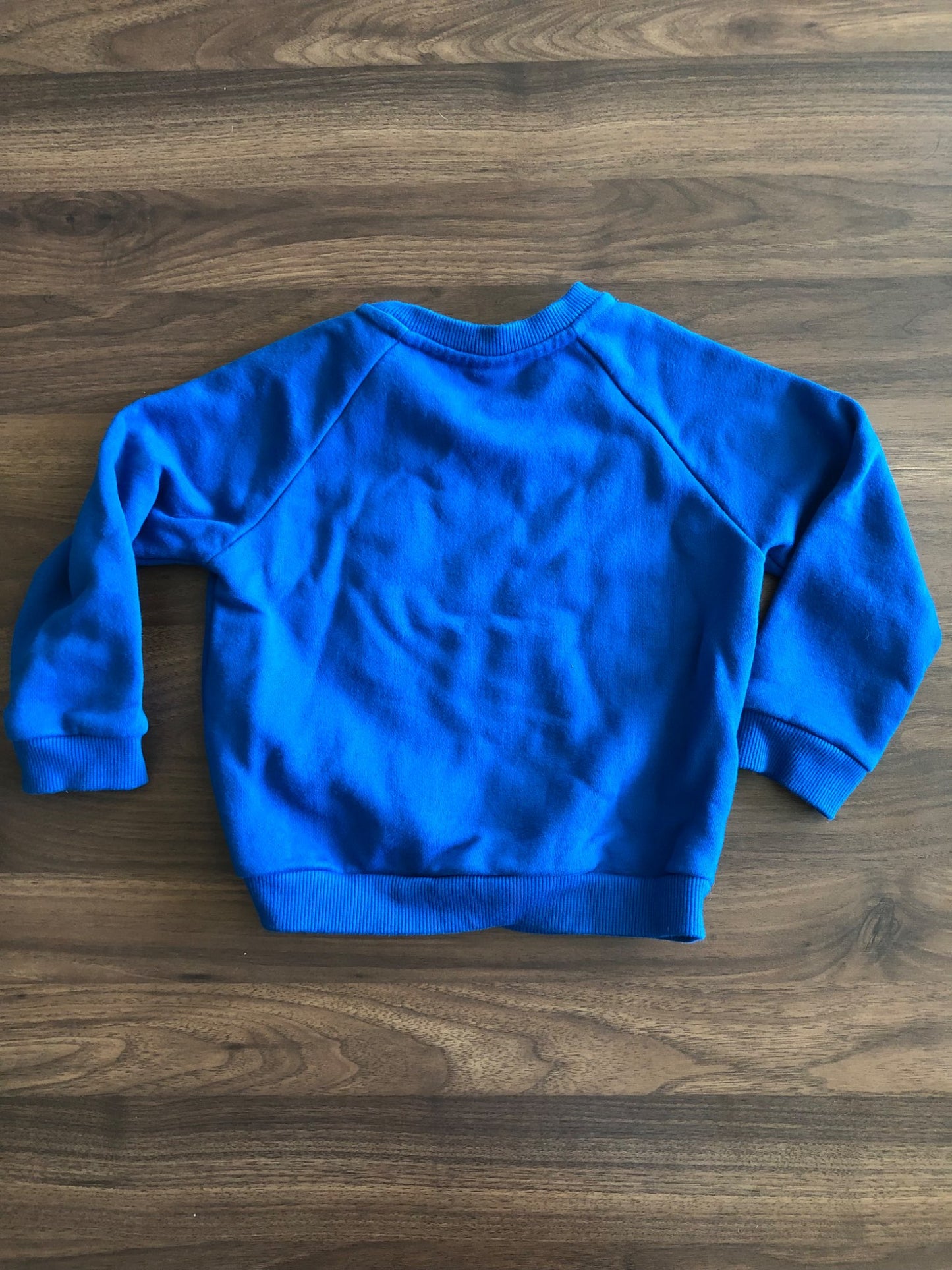 Toddler Blue Crewneck Pullover Hoodie, 3T, Kids 3T