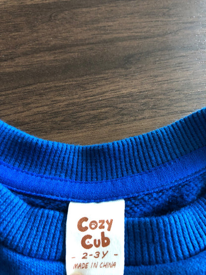 Toddler Blue Crewneck Pullover Hoodie, 3T, Kids 3T