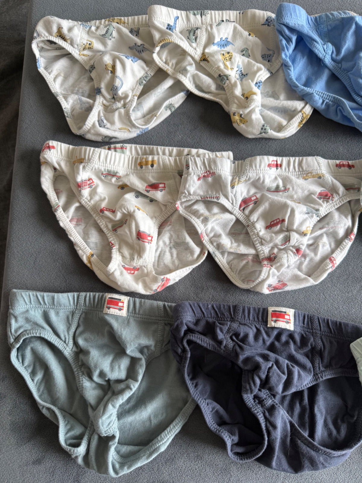 H&M Toddler Boy Briefs Bundle, Dino and Car Prints, 10 pieces, 2-4T, Kids 3T