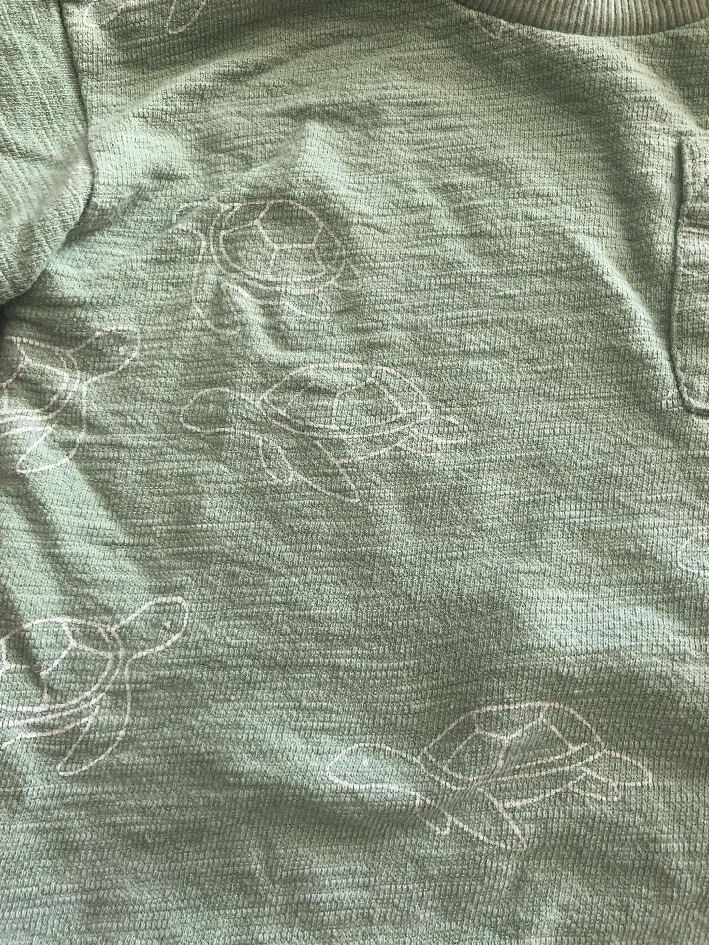 Little Planet Toddler Boy Green Turtle Print Outfit Set, Short Sleeve Shirt and Shorts, 18M, Kids 18 Month (12-18M)